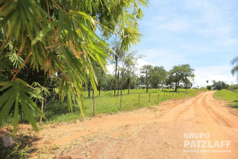 Foto 3 de Chácara com 3 quartos à venda, 139000m2 em Rochedo - MS