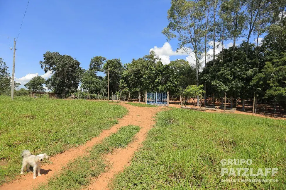 Foto 5 de Chácara com 3 quartos à venda, 139000m2 em Rochedo - MS