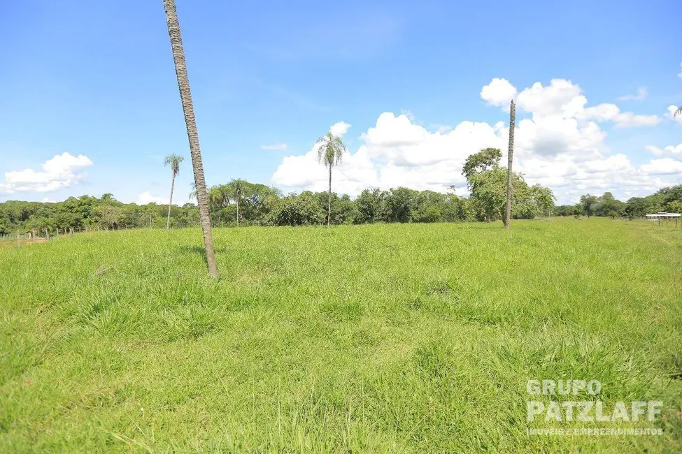 Foto 4 de Chácara com 3 quartos à venda, 139000m2 em Rochedo - MS