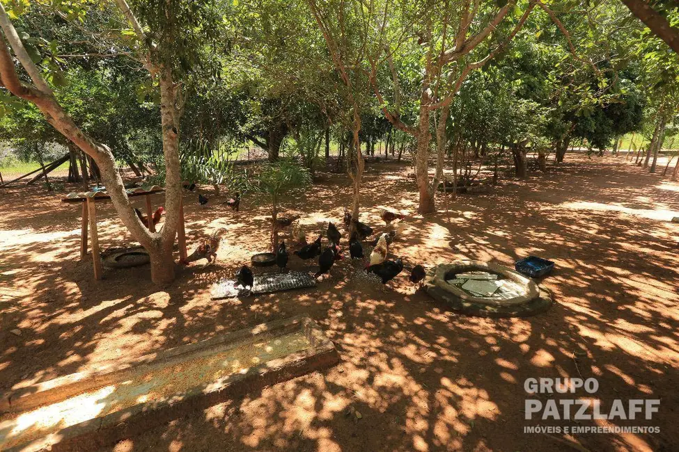 Foto 2 de Chácara com 3 quartos à venda, 139000m2 em Rochedo - MS