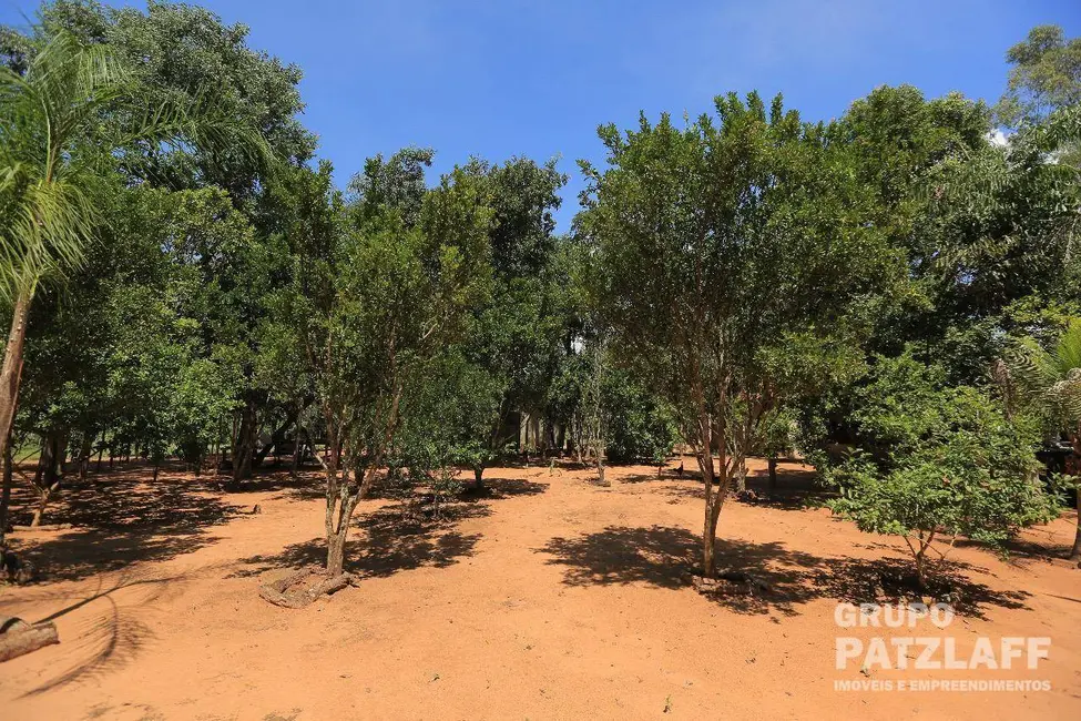 Foto 6 de Chácara com 3 quartos à venda, 139000m2 em Rochedo - MS