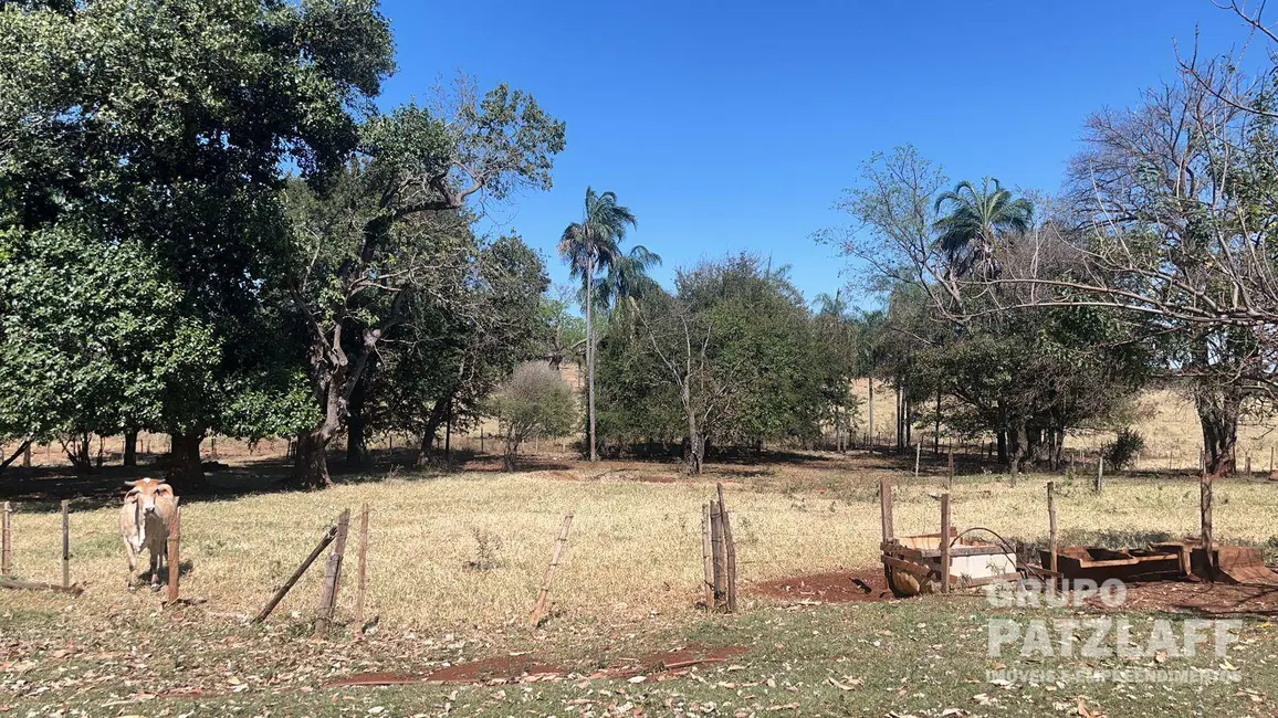 Sala Comercial à venda, 60000m2 em Campo Grande - MS - imagem 3 Foto 3 de Sala Comercial à venda, 60000m2 em Campo Grande - MS