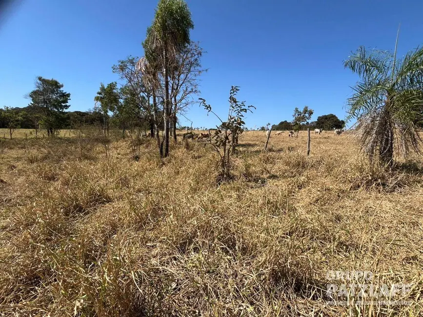 Sala Comercial à venda, 60000m2 em Campo Grande - MS - imagem 8 Foto 8 de Sala Comercial à venda, 60000m2 em Campo Grande - MS