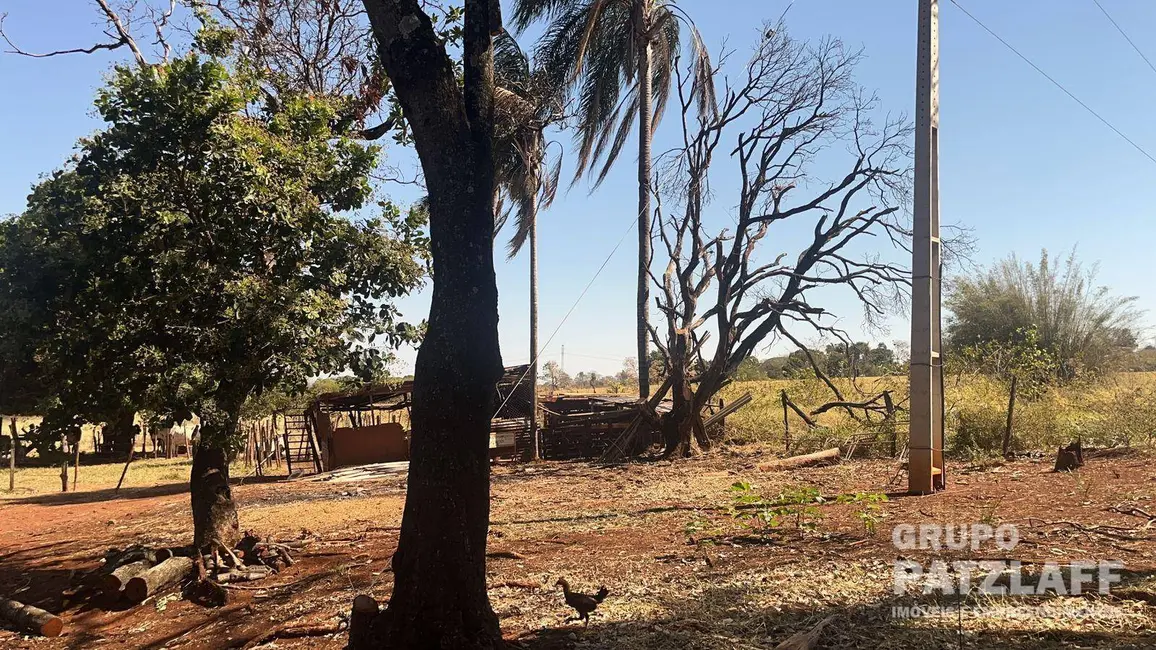 Sala Comercial à venda, 60000m2 em Campo Grande - MS - imagem 5 Foto 5 de Sala Comercial à venda, 60000m2 em Campo Grande - MS