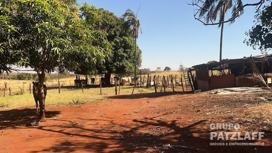 Sala Comercial à venda, 60000m2 em Campo Grande - MS - imagem 4 Foto 4 de Sala Comercial à venda, 60000m2 em Campo Grande - MS