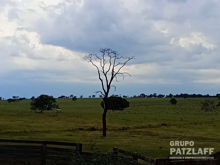 Foto 7 de Fazenda / Haras à venda, 5803000m2 em Campo Grande - MS