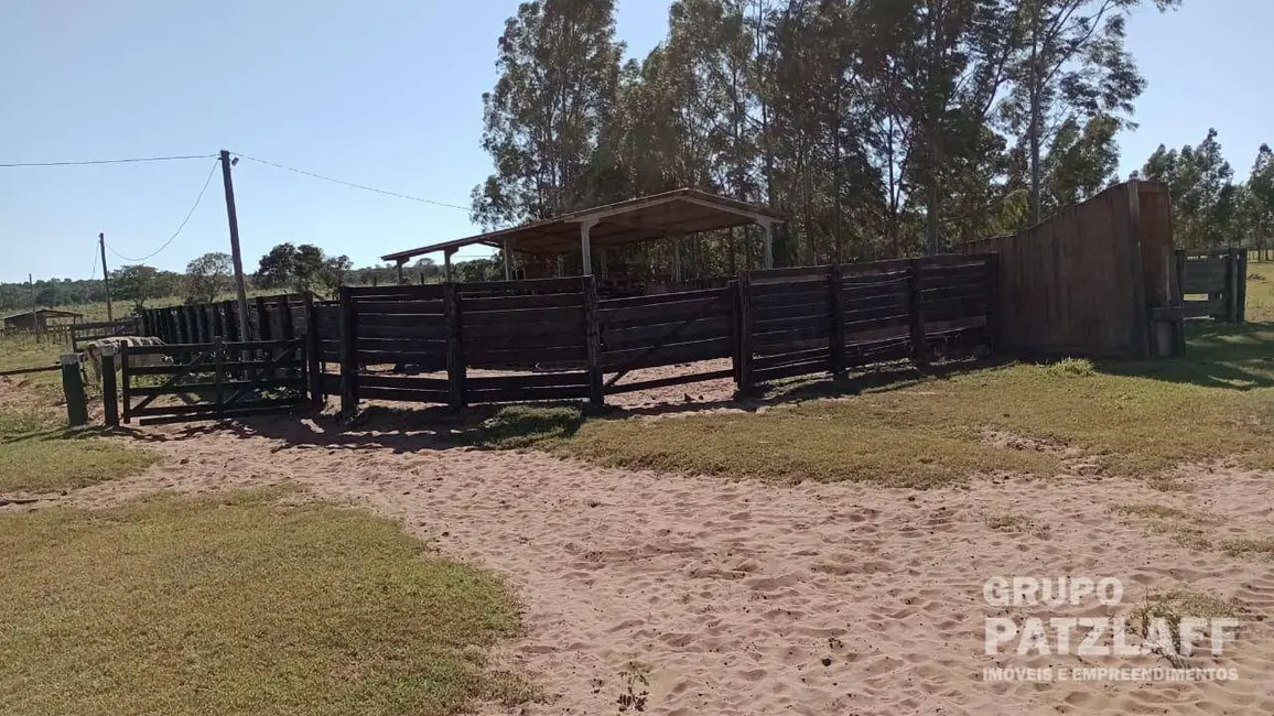 Foto 9 de Fazenda / Haras à venda, 5803000m2 em Campo Grande - MS
