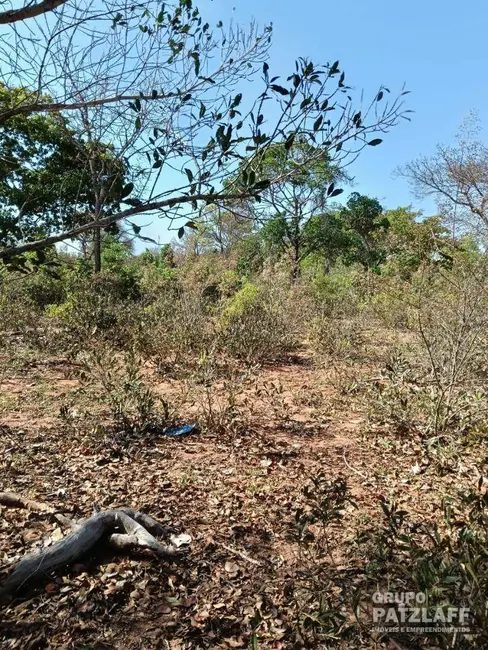 Sala Comercial à venda, 20000m2 em Campo Grande - MS - imagem 3 Foto 3 de Sala Comercial à venda, 20000m2 em Campo Grande - MS