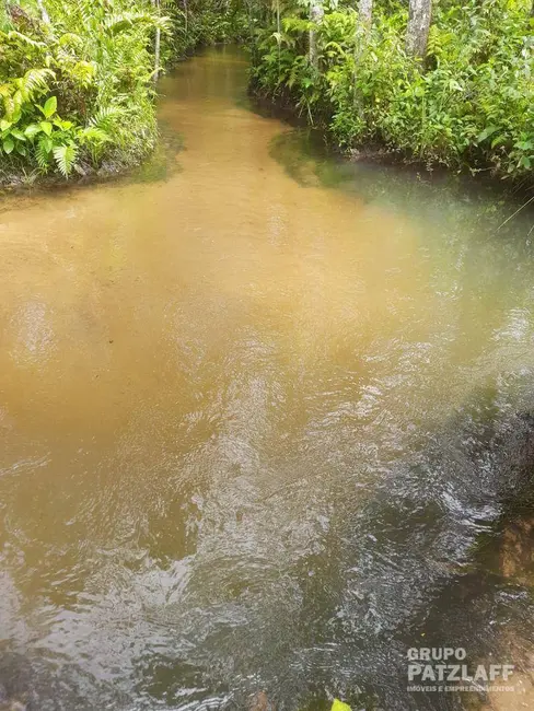Chácara à venda, 77000m2 em Campo Grande - MS - imagem 4 Foto 4 de Chácara à venda, 77000m2 em Campo Grande - MS