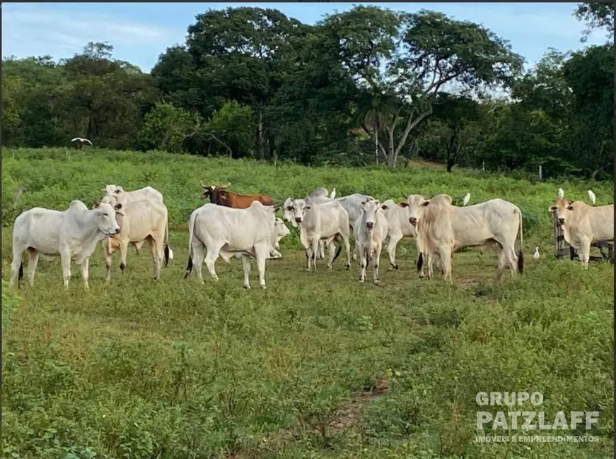 Foto 1 de Fazenda / Haras com 4 quartos à venda, 5000000m2 em Campo Grande - MS