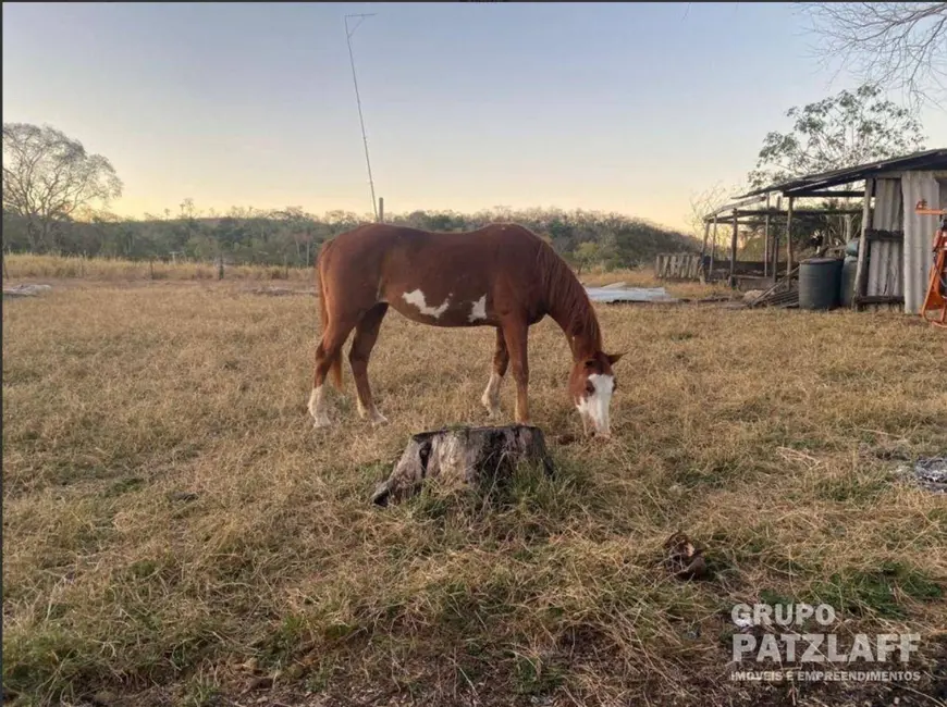Foto 5 de Fazenda / Haras com 4 quartos à venda, 5000000m2 em Campo Grande - MS