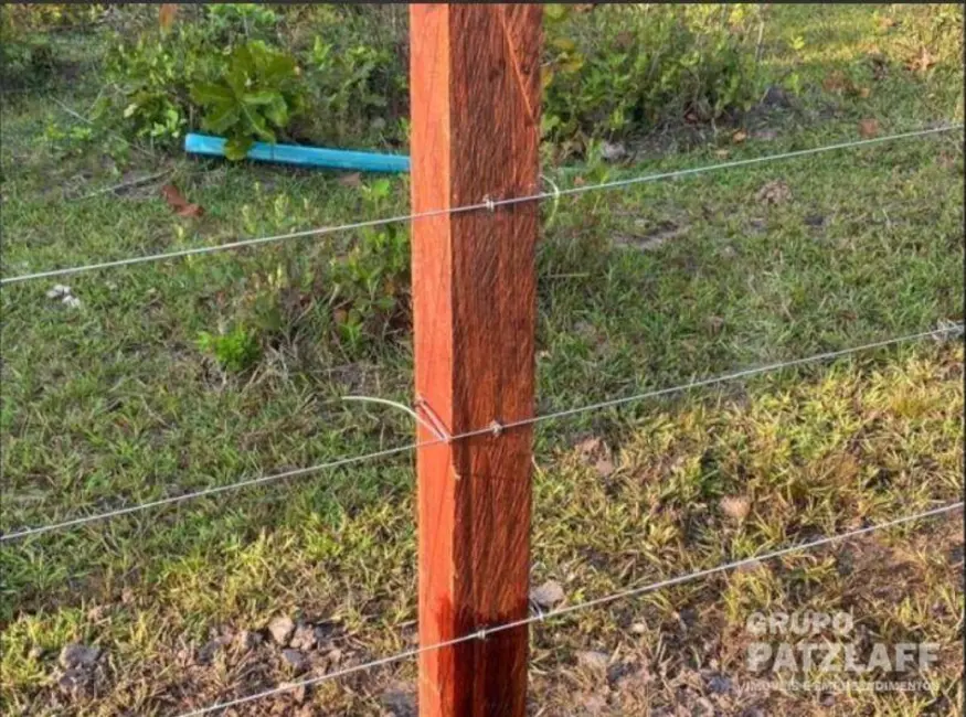 Foto 7 de Fazenda / Haras com 4 quartos à venda, 5000000m2 em Campo Grande - MS