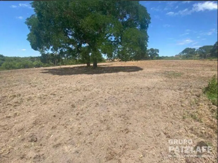 Foto 6 de Fazenda / Haras com 4 quartos à venda, 5000000m2 em Campo Grande - MS