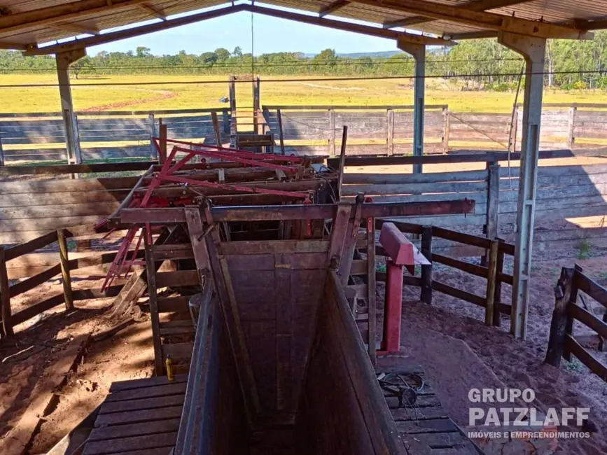 Foto 8 de Fazenda / Haras à venda, 5800000m2 em Vila Moreninha II, Campo Grande - MS