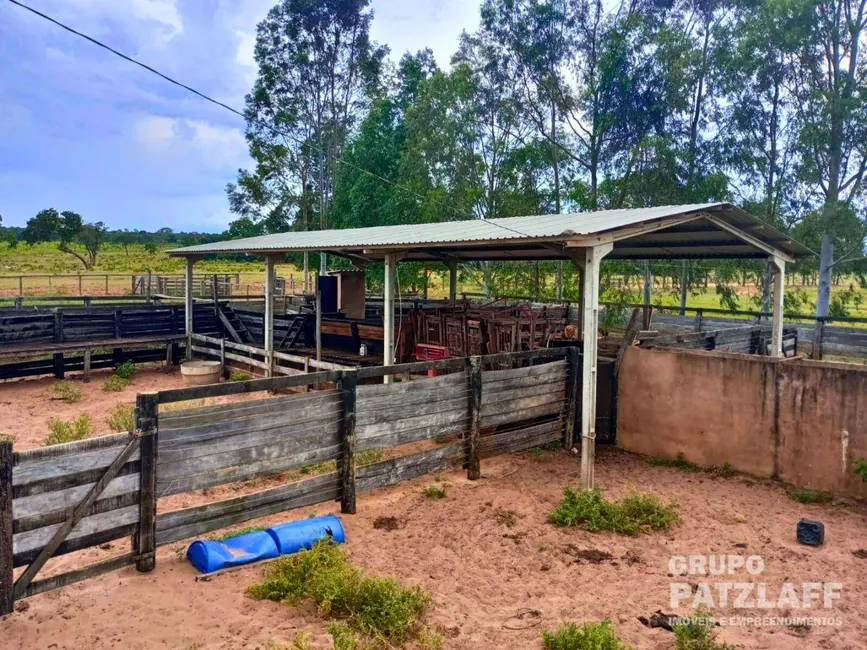 Foto 2 de Fazenda / Haras à venda, 5800000m2 em Vila Moreninha II, Campo Grande - MS