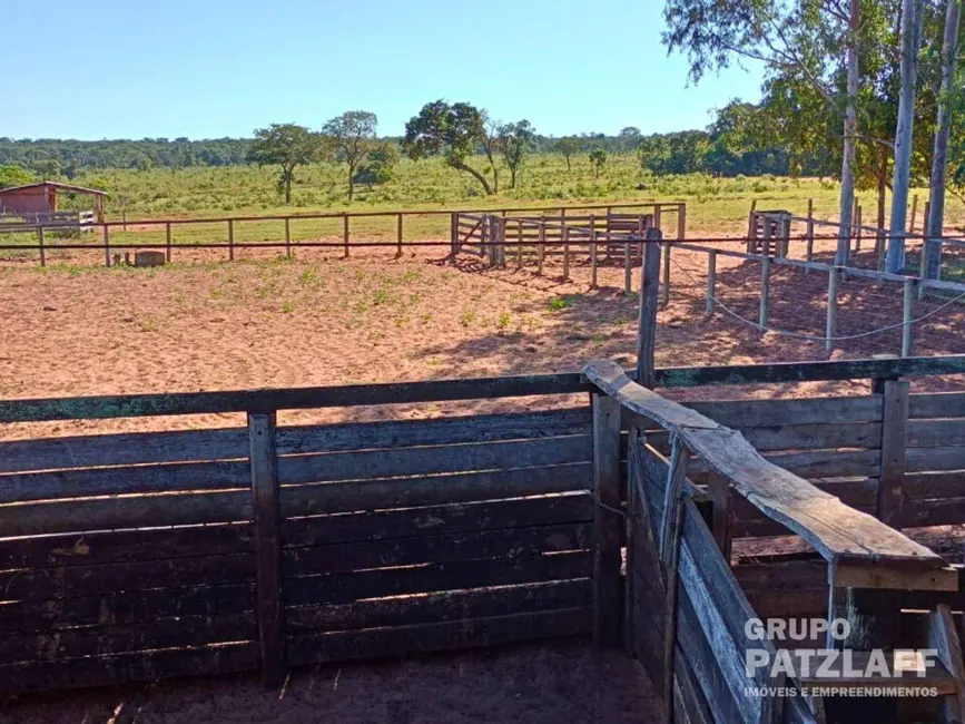 Foto 9 de Fazenda / Haras à venda, 5800000m2 em Vila Moreninha II, Campo Grande - MS
