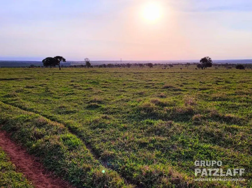 Fazenda / Haras à venda, 2850000m2 em Sidrolandia - MS - imagem 9 Foto 9 de Fazenda / Haras à venda, 2850000m2 em Sidrolandia - MS