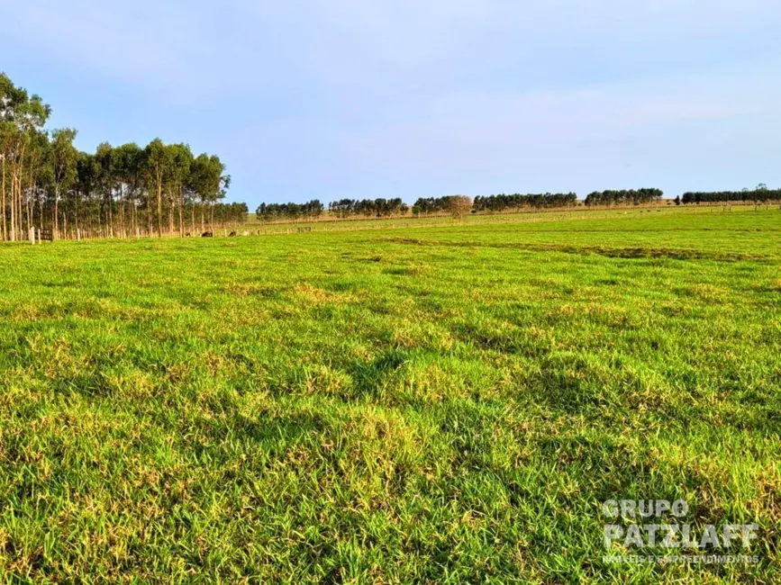 Fazenda / Haras à venda, 2850000m2 em Sidrolandia - MS - imagem 2 Foto 2 de Fazenda / Haras à venda, 2850000m2 em Sidrolandia - MS