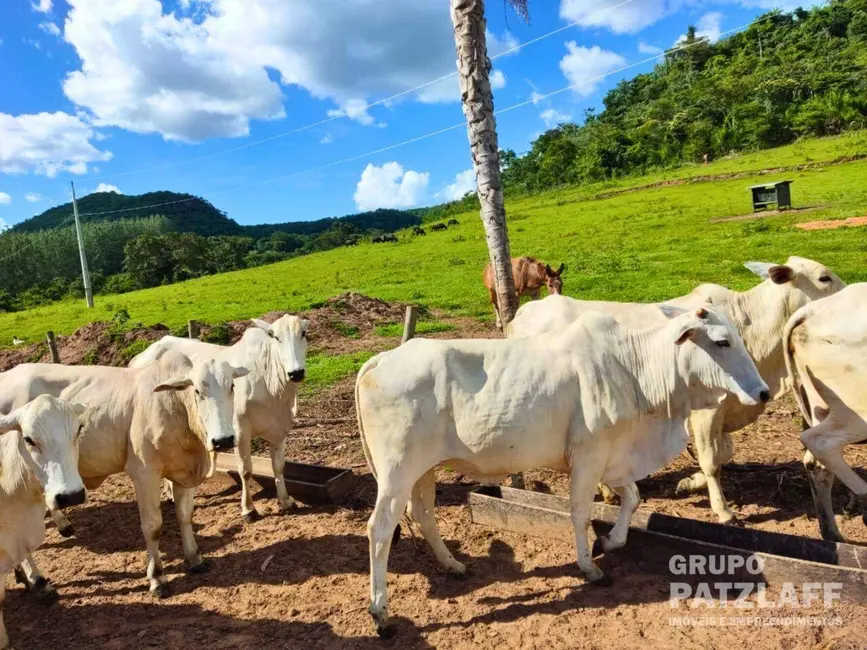 Foto 7 de Fazenda / Haras à venda, 3030000m2 em Sao Gabriel Do Oeste - MS