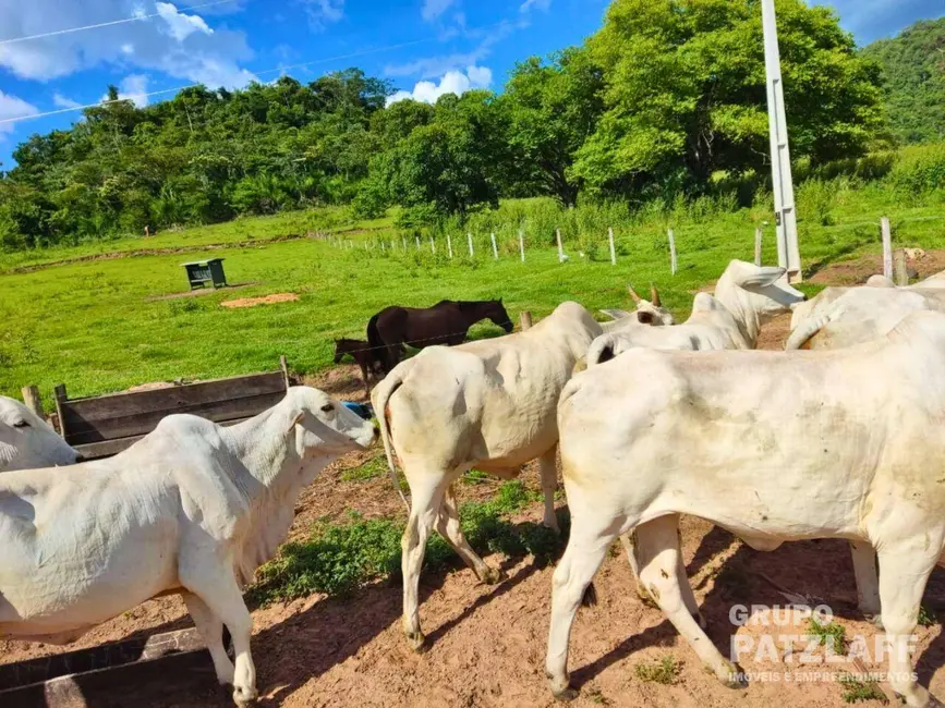 Foto 5 de Fazenda / Haras à venda, 3030000m2 em Sao Gabriel Do Oeste - MS