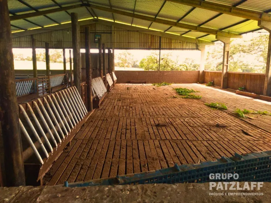 Foto 17 de Chácara à venda, 333317m2 em Centro, Bandeirantes - MS