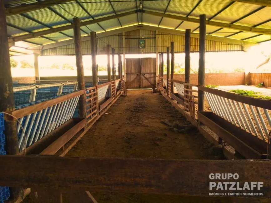 Foto 15 de Chácara à venda, 333317m2 em Centro, Bandeirantes - MS