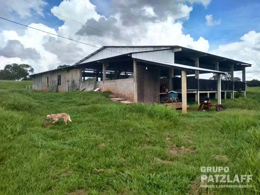 Foto 19 de Chácara à venda, 333317m2 em Centro, Bandeirantes - MS