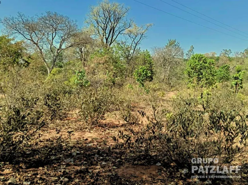 Chácara à venda, 40m2 em Campo Grande - MS - imagem 4 Foto 4 de Chácara à venda, 40m2 em Campo Grande - MS