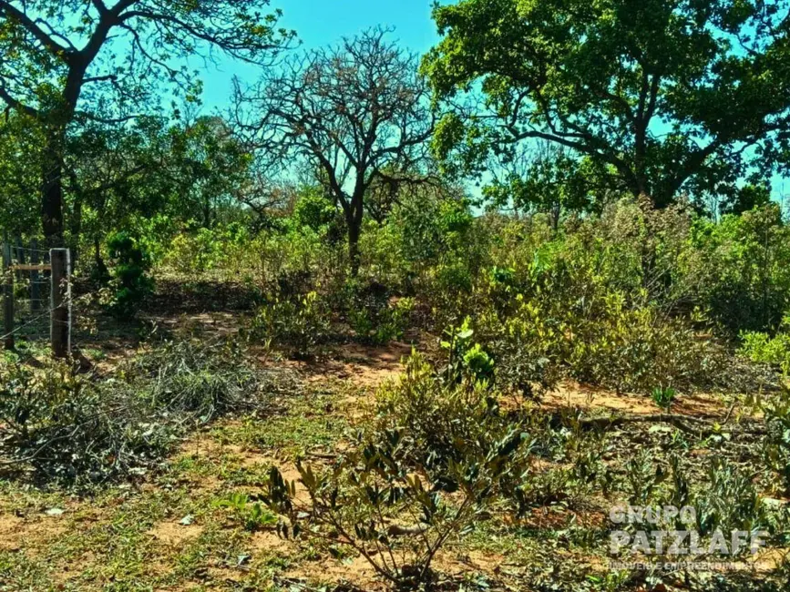 Foto 2 de Chácara à venda, 40m2 em Campo Grande - MS