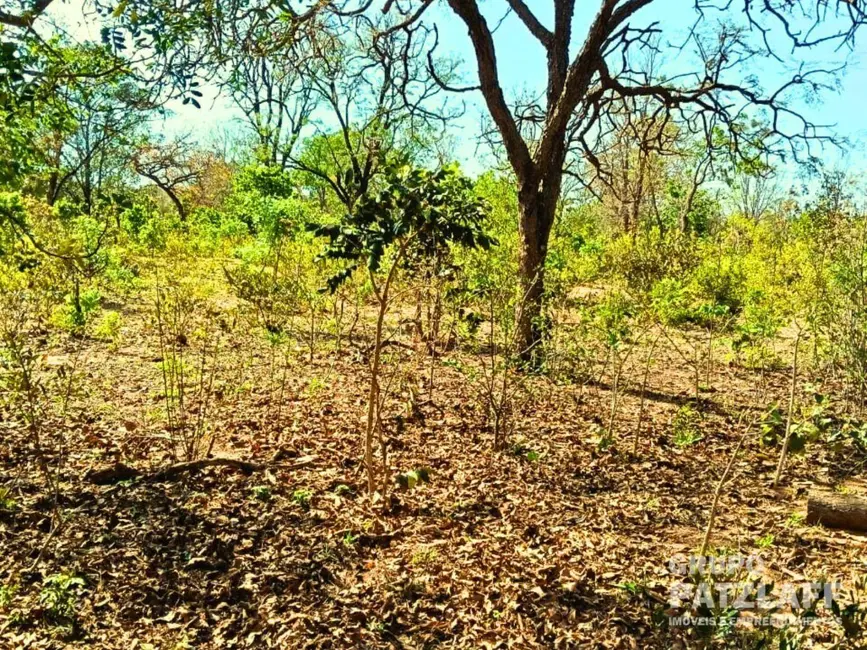 Chácara à venda, 40m2 em Campo Grande - MS - imagem 3 Foto 3 de Chácara à venda, 40m2 em Campo Grande - MS
