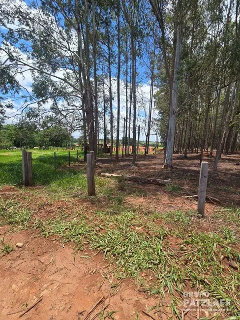 Sítio / Rancho com 3 quartos à venda, 310000m2 em Campo Grande - MS - imagem 4 Foto 4 de Sítio / Rancho com 3 quartos à venda, 310000m2 em Campo Grande - MS