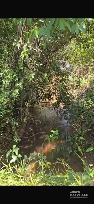 Sítio / Rancho com 3 quartos à venda, 310000m2 em Campo Grande - MS - imagem 7 Foto 7 de Sítio / Rancho com 3 quartos à venda, 310000m2 em Campo Grande - MS