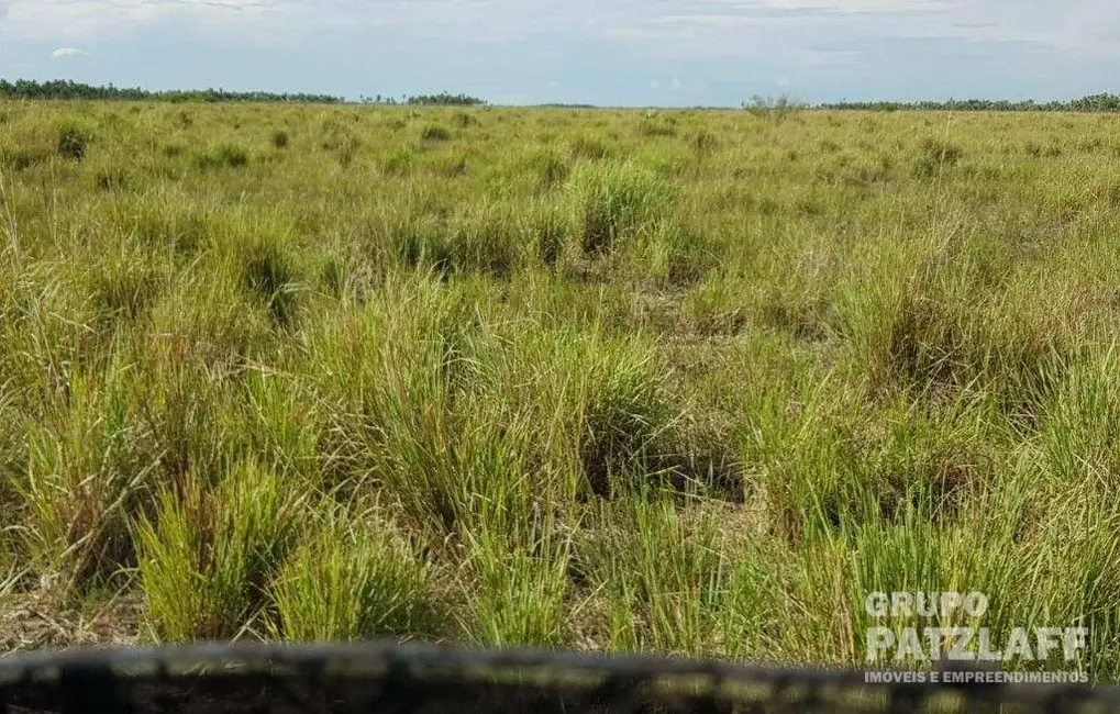 Fazenda / Haras à venda, 16777215m2 em Aeroporto, Corumba - MS - imagem 8 Foto 8 de Fazenda / Haras à venda, 16777215m2 em Aeroporto, Corumba - MS