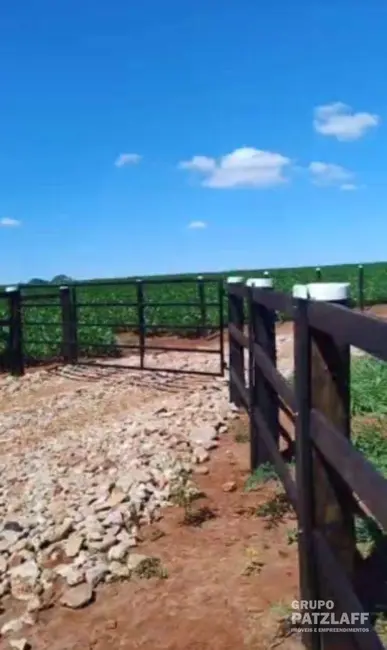 Foto 3 de Sítio / Rancho à venda, 330000m2 em Campo Grande - MS