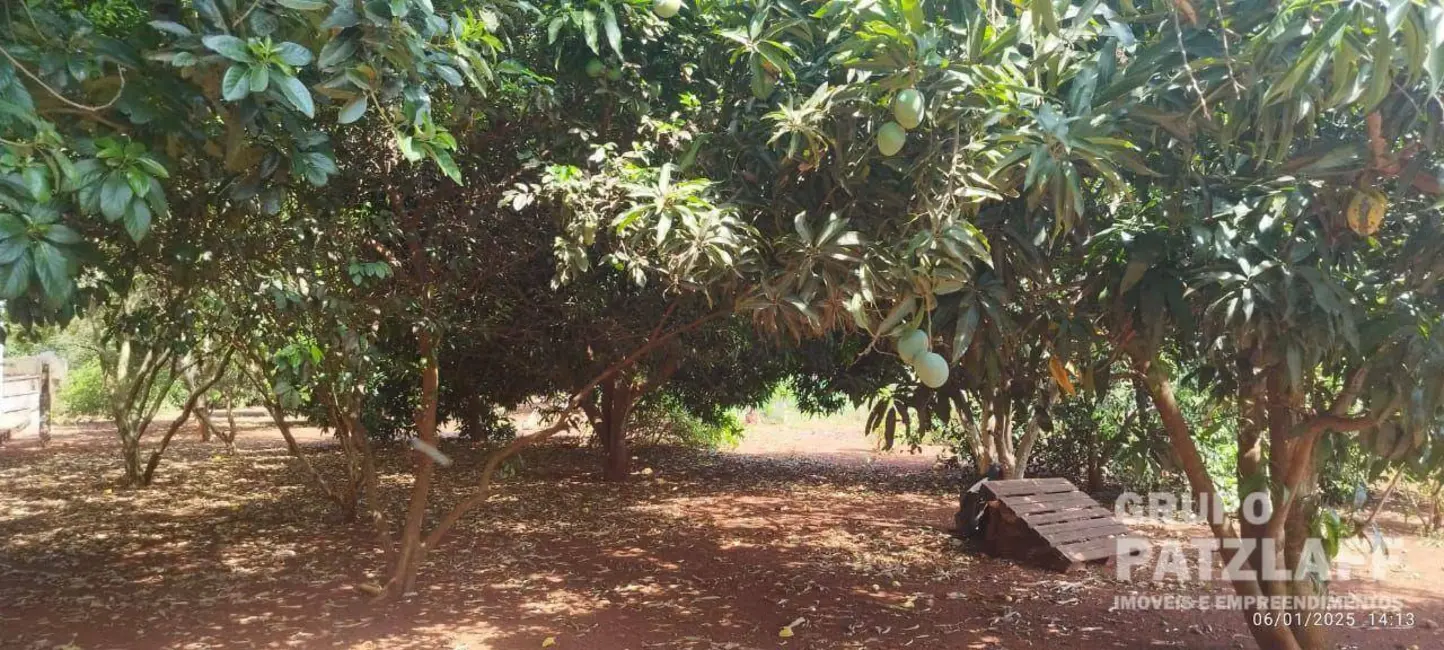 Foto 13 de Chácara à venda, 89000m2 em Jardim Colibri, Dourados - MS