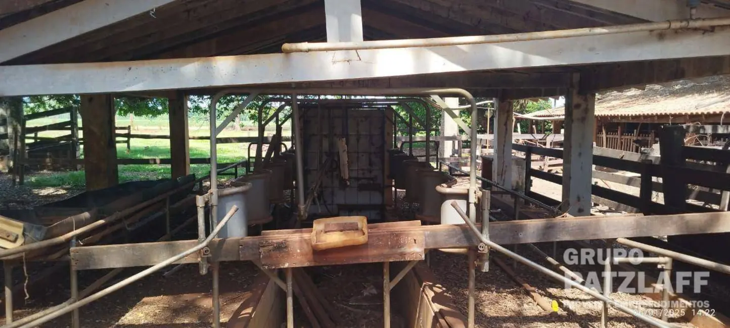 Chácara à venda, 89000m2 em Jardim Colibri, Dourados - MS - imagem 9 Foto 9 de Chácara à venda, 89000m2 em Jardim Colibri, Dourados - MS