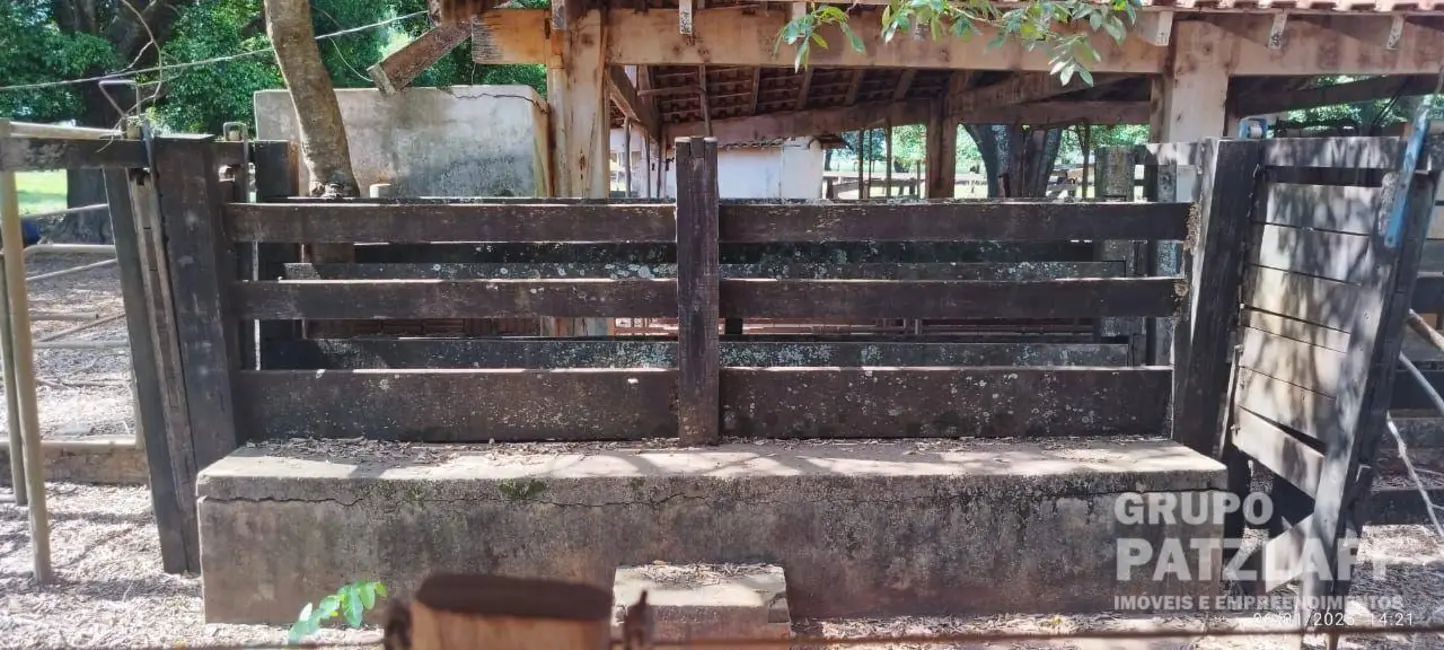 Chácara à venda, 89000m2 em Jardim Colibri, Dourados - MS - imagem 5 Foto 5 de Chácara à venda, 89000m2 em Jardim Colibri, Dourados - MS