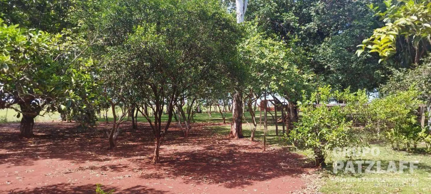 Foto 30 de Chácara à venda, 89000m2 em Jardim Colibri, Dourados - MS