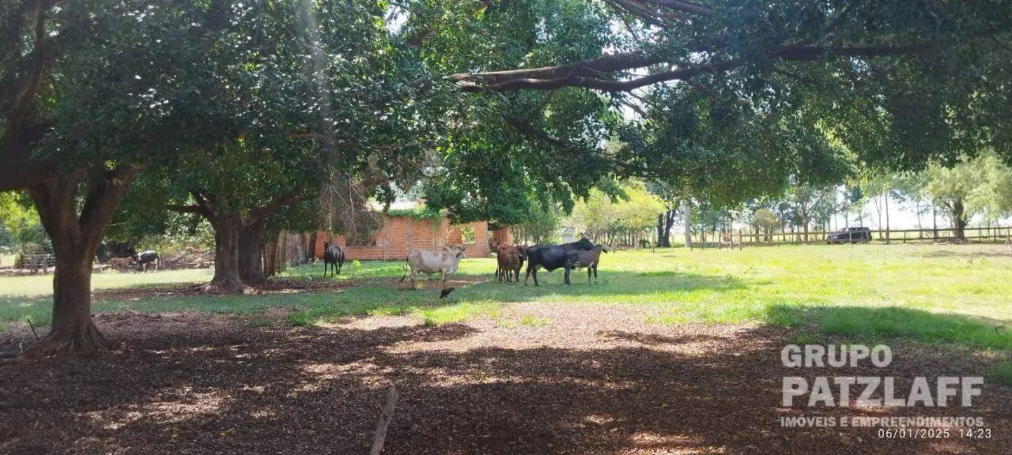 Foto 20 de Chácara à venda, 89000m2 em Jardim Colibri, Dourados - MS