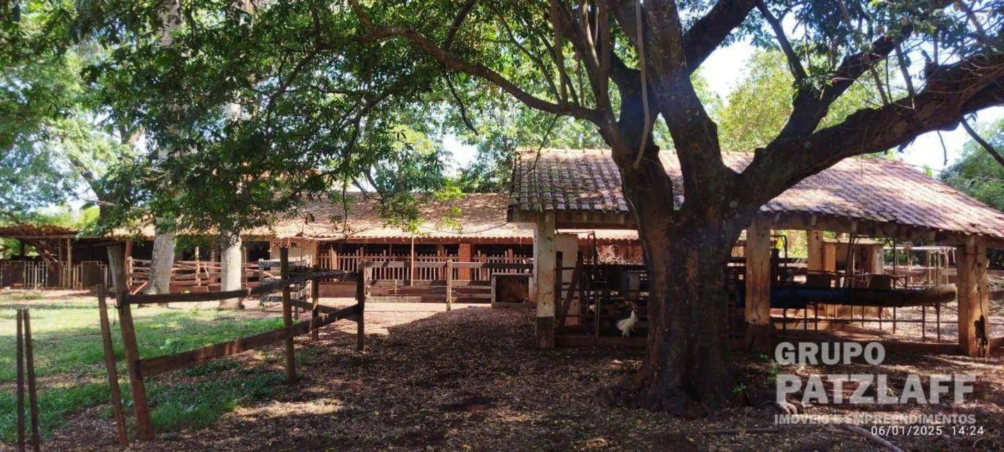 Foto 10 de Chácara à venda, 89000m2 em Jardim Colibri, Dourados - MS