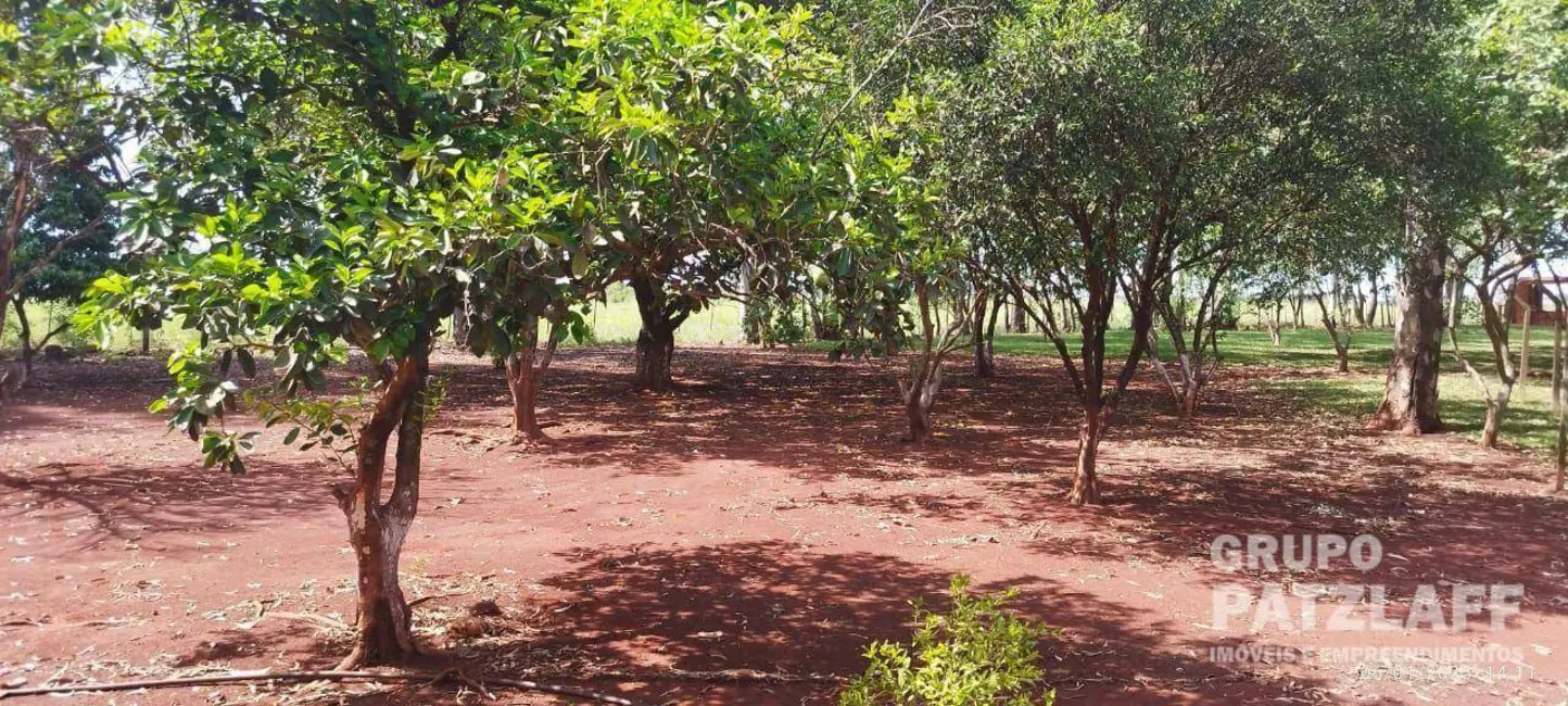 Foto 11 de Chácara à venda, 89000m2 em Jardim Colibri, Dourados - MS