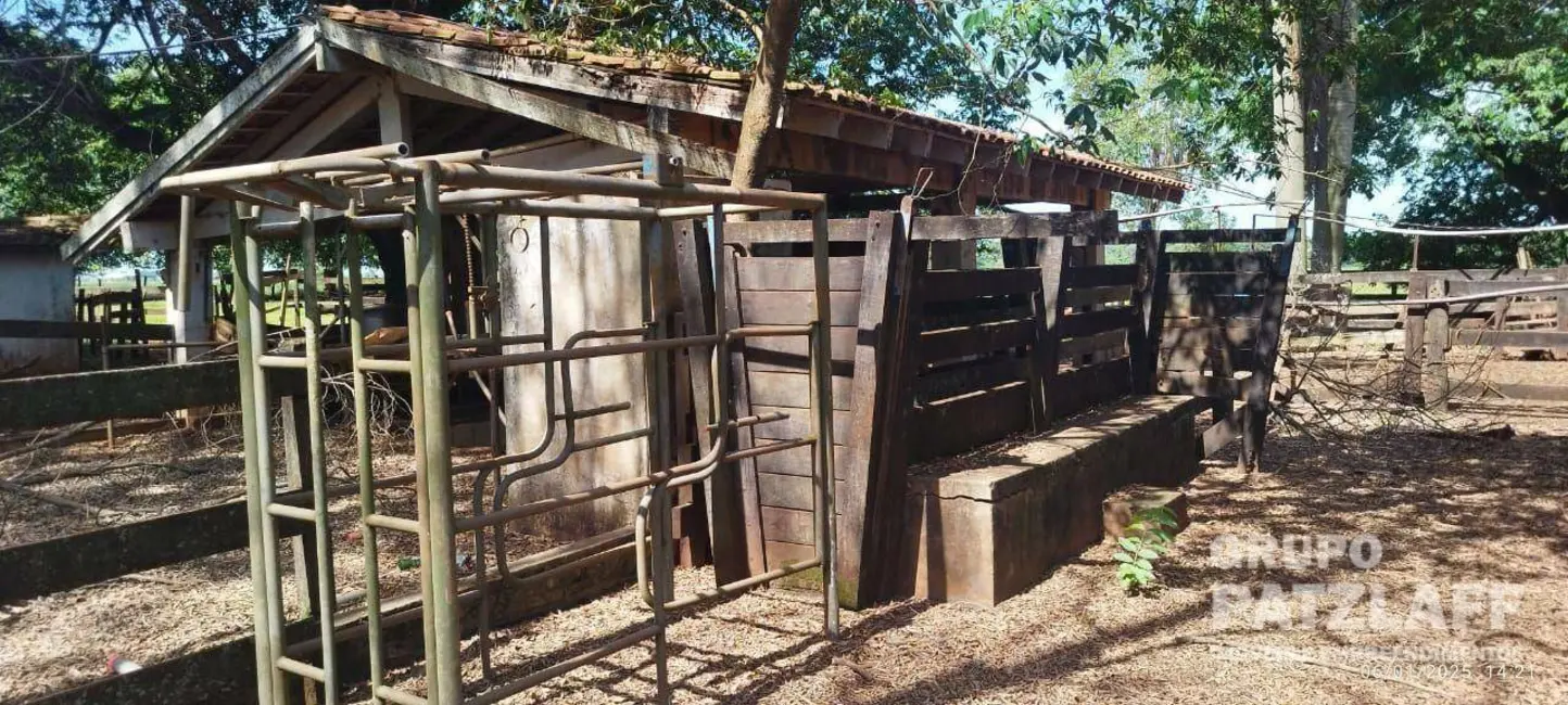 Foto 16 de Chácara à venda, 89000m2 em Jardim Colibri, Dourados - MS