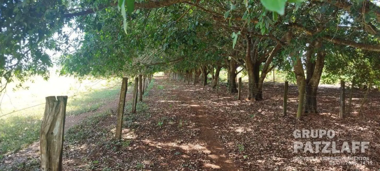 Chácara à venda, 89000m2 em Jardim Colibri, Dourados - MS - imagem 6 Foto 6 de Chácara à venda, 89000m2 em Jardim Colibri, Dourados - MS