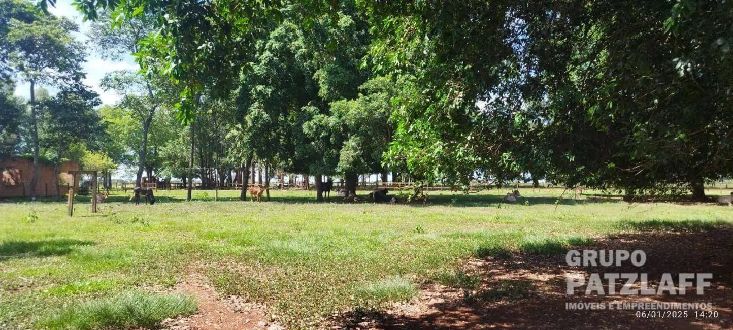 Foto 14 de Chácara à venda, 89000m2 em Jardim Colibri, Dourados - MS