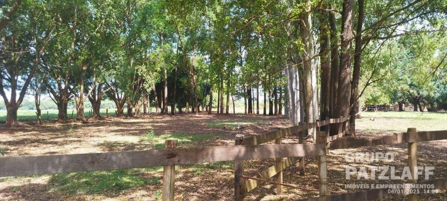 Foto 31 de Chácara à venda, 89000m2 em Jardim Colibri, Dourados - MS