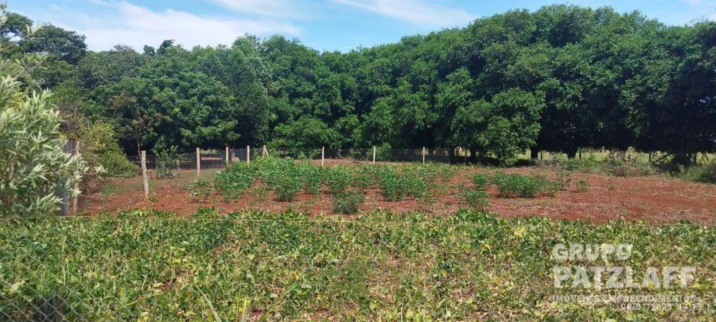 Foto 32 de Chácara à venda, 89000m2 em Jardim Colibri, Dourados - MS