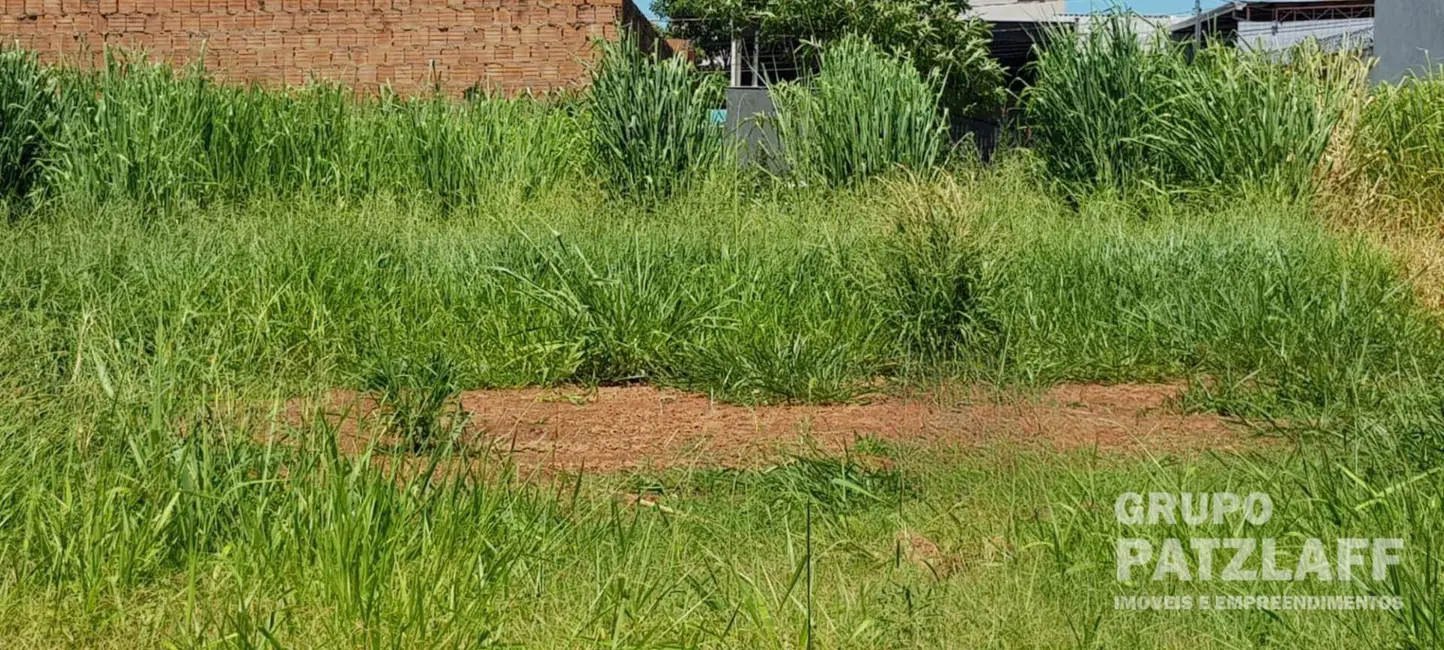 Terreno / Lote à venda, 250m2 em Vila Margarida, Campo Grande - MS - imagem 1 Foto 1 de Terreno / Lote à venda, 250m2 em Vila Margarida, Campo Grande - MS