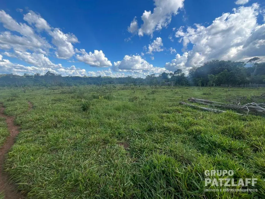 Foto 3 de Chácara com 2 quartos à venda, 50000m2 em Campo Grande - MS