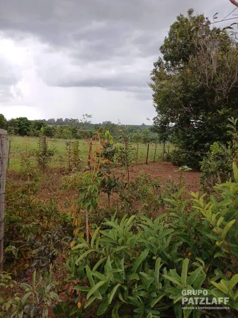Foto 4 de Chácara com 2 quartos à venda, 50000m2 em Campo Grande - MS