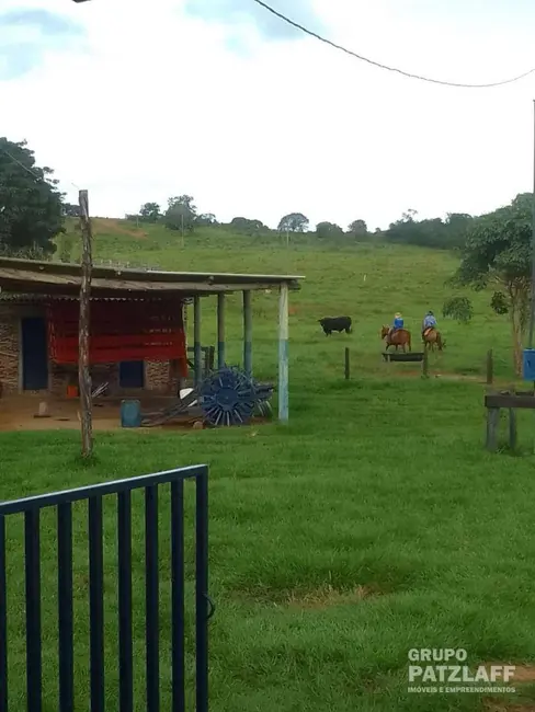 Fazenda / Haras à venda, 12510000m2 em Alcinopolis - MS - imagem 2 Foto 2 de Fazenda / Haras à venda, 12510000m2 em Alcinopolis - MS